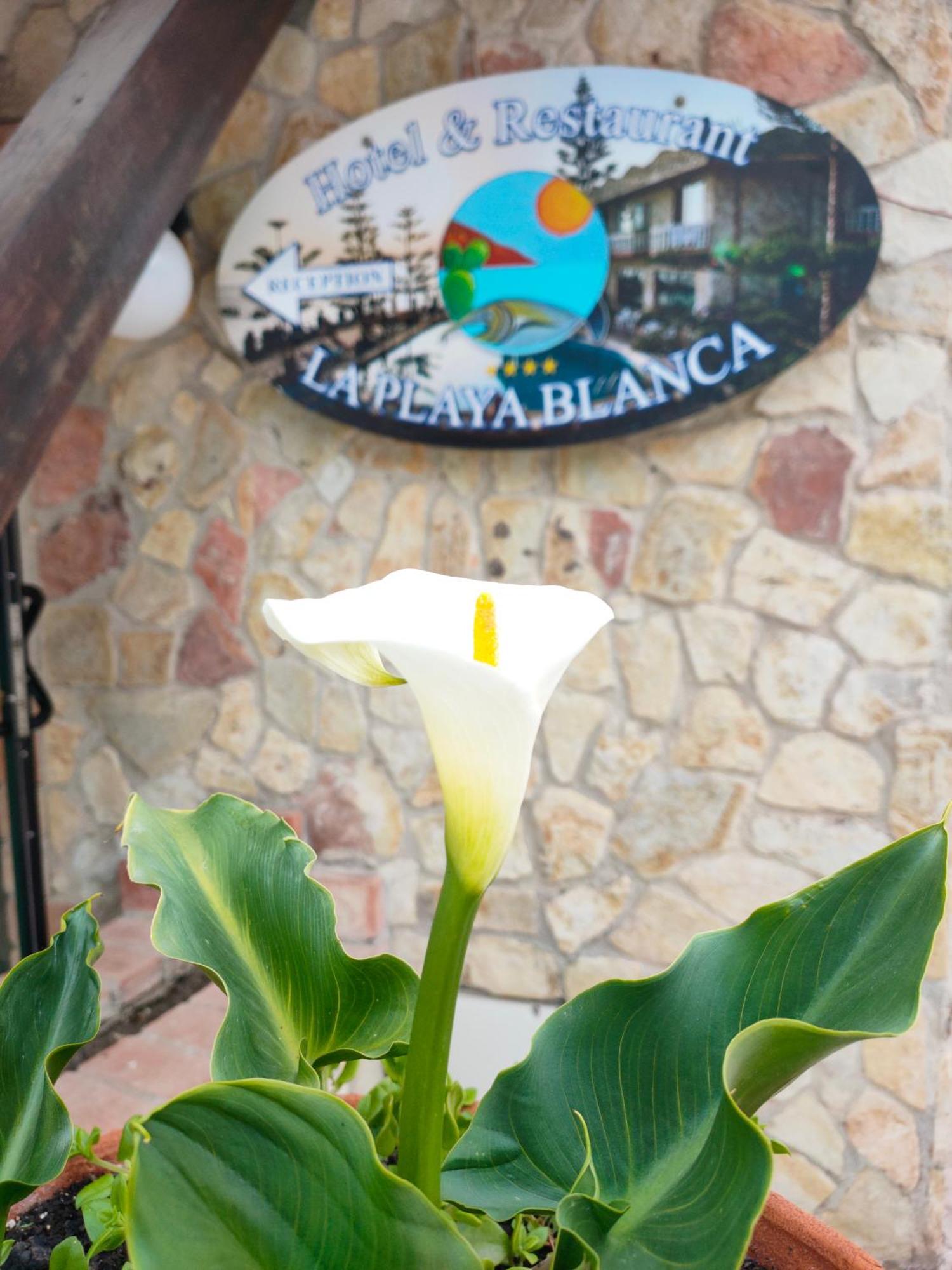Hotel La Playa Blanca Santo Stefano di Camastra Exterior photo